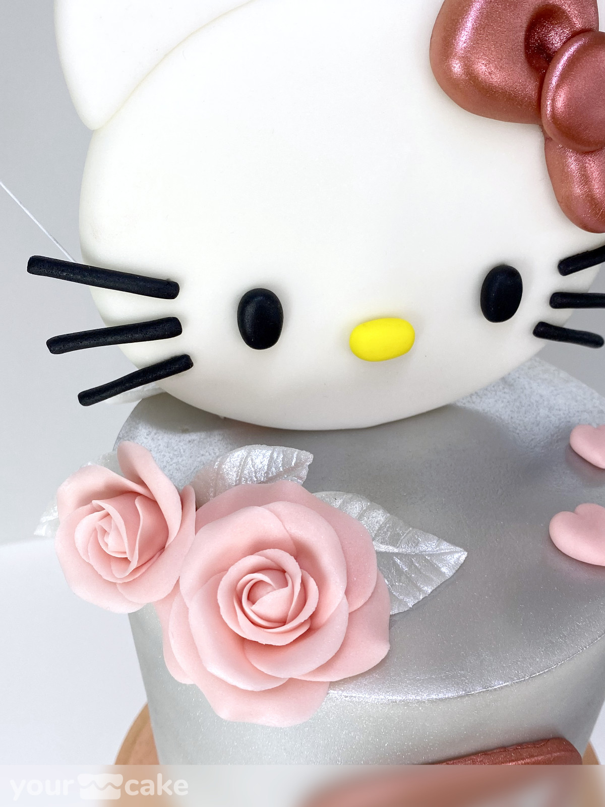 Cumpleaños Hello Kitty - Foto Mini 5