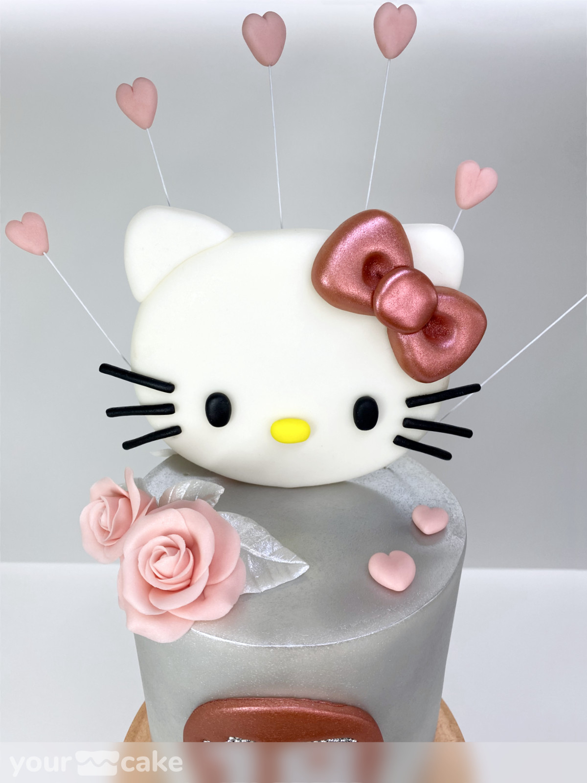 Cumpleaños Hello Kitty - Foto Mini 6